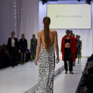 Dress Silver