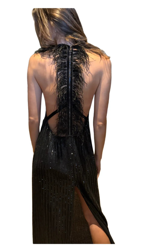 Dress Feather